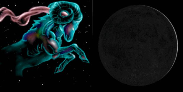 Articolo senza titolo 84